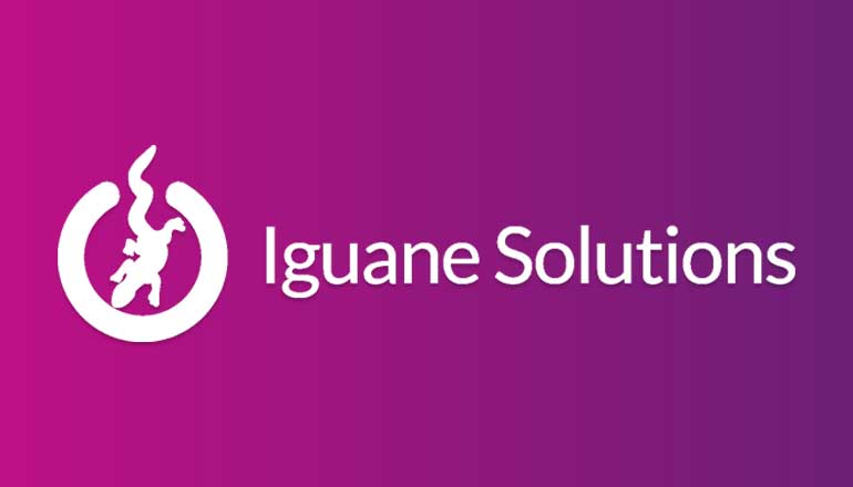 Article Iguane Solutions et Insight, une collaboration qui dure !  Image