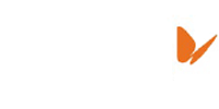 Naturgy logo